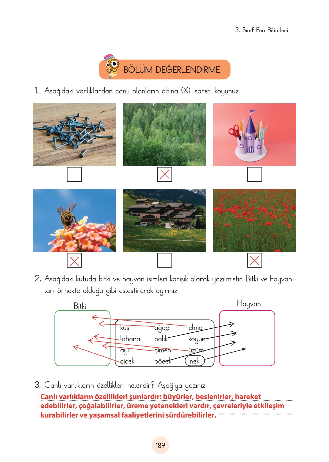 3. Sınıf Fen Bilimleri Cem Yayınları Ders Kitabı Sayfa 189 Cevapları
