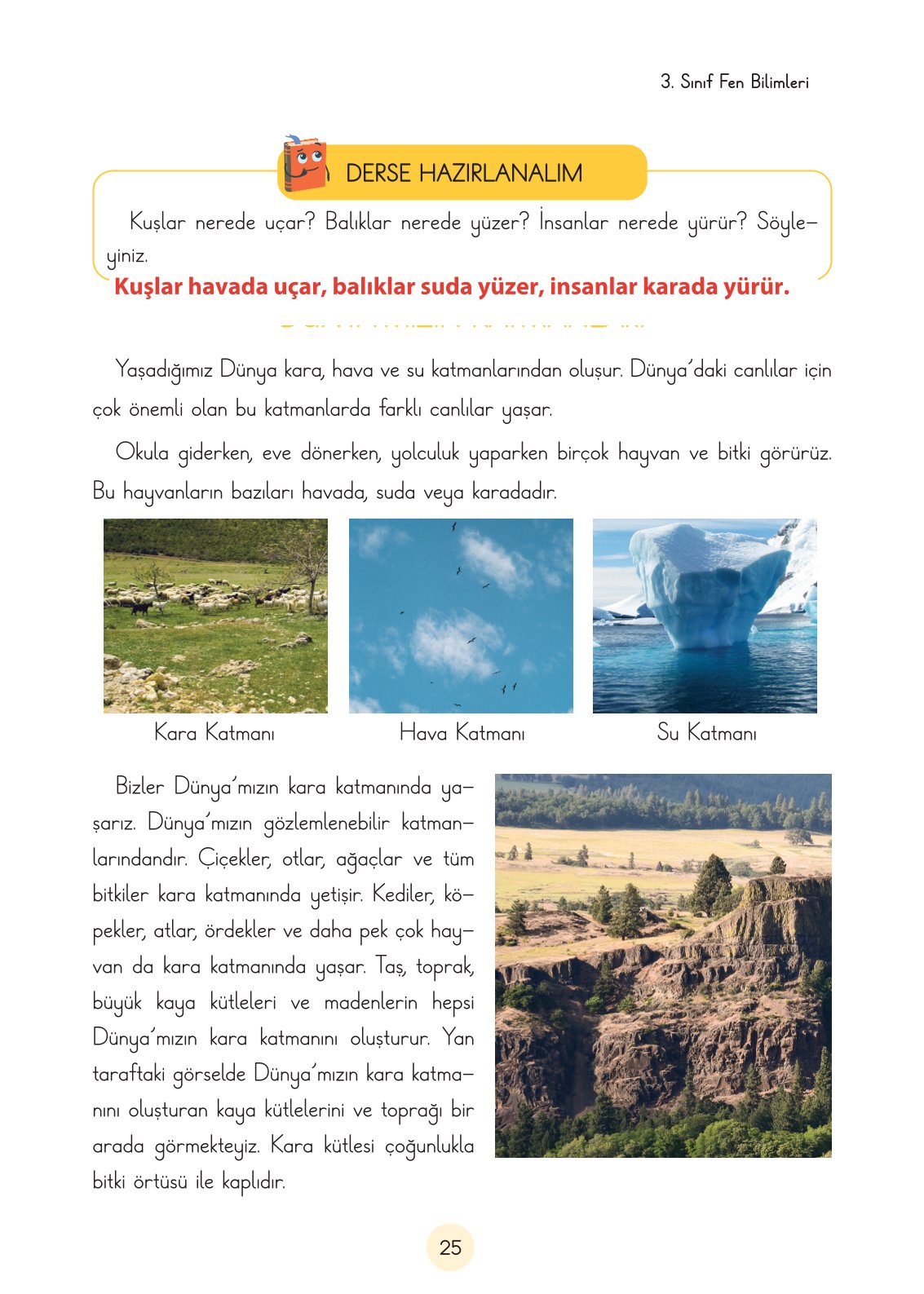 3. Sınıf Fen Bilimleri Cem Yayınları Ders Kitabı Sayfa 25 Cevapları 3. Sınıf Fen Bilimleri Cem Yayınları Ders Kitabı Sayfa 25 Cevapları
