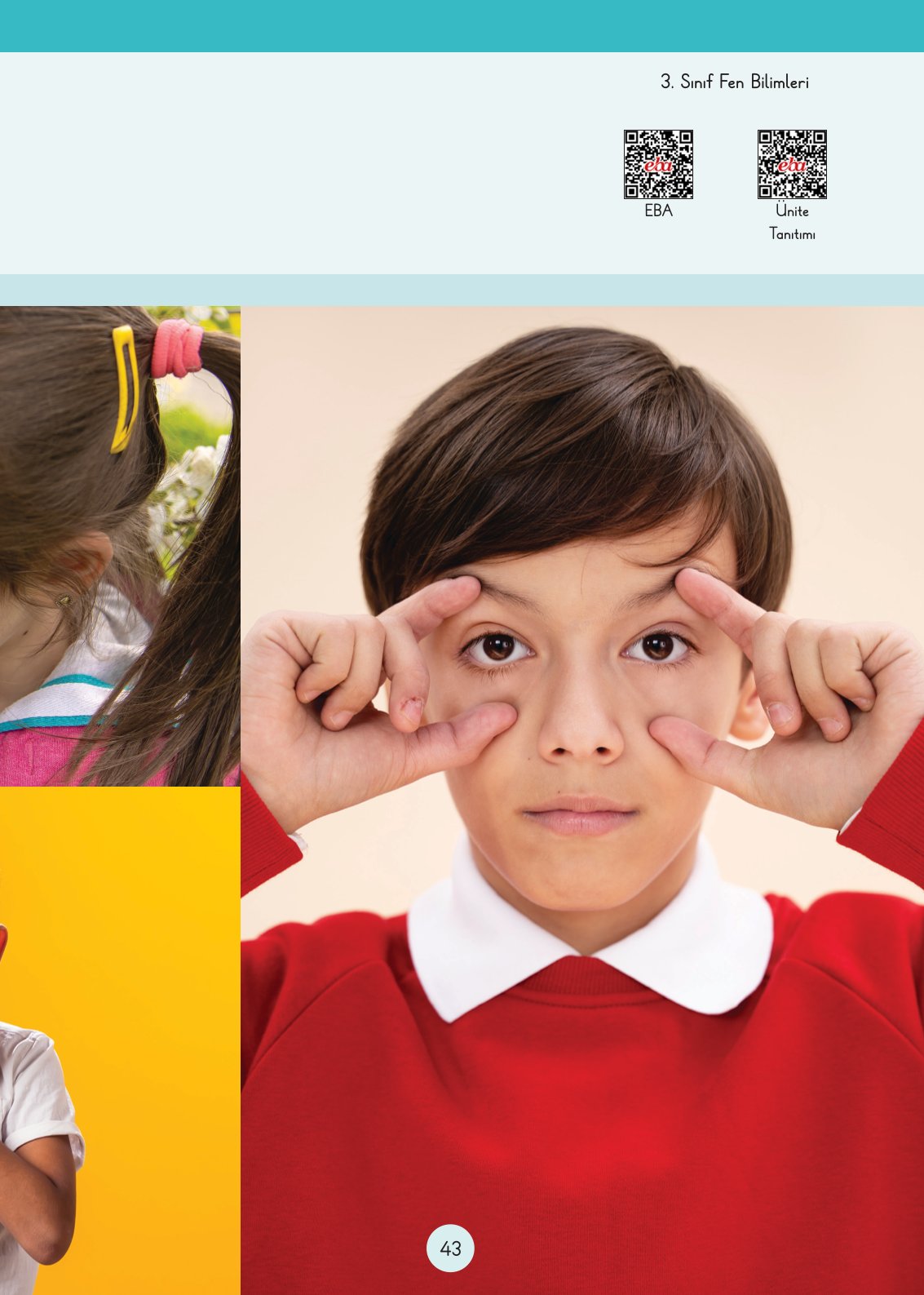 3. Sınıf Fen Bilimleri Cem Yayınları Ders Kitabı Sayfa 43 Cevapları 3. Sınıf Fen Bilimleri Cem Yayınları Ders Kitabı Sayfa 43 Cevapları