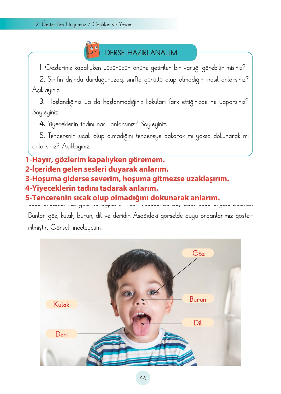3. Sınıf Fen Bilimleri Cem Yayınları Ders Kitabı Sayfa 46 Cevapları 3. Sınıf Fen Bilimleri Cem Yayınları Ders Kitabı Sayfa 46 Cevapları