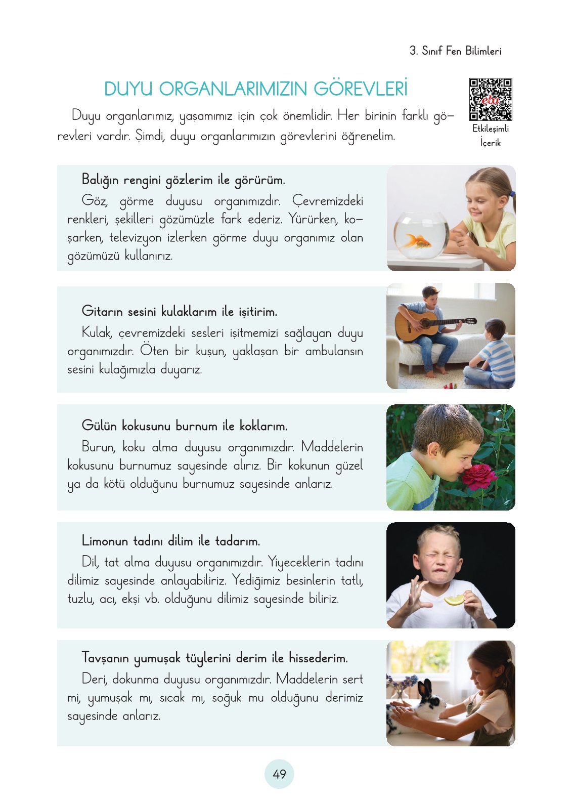 3. Sınıf Fen Bilimleri Cem Yayınları Ders Kitabı Sayfa 49 Cevapları
