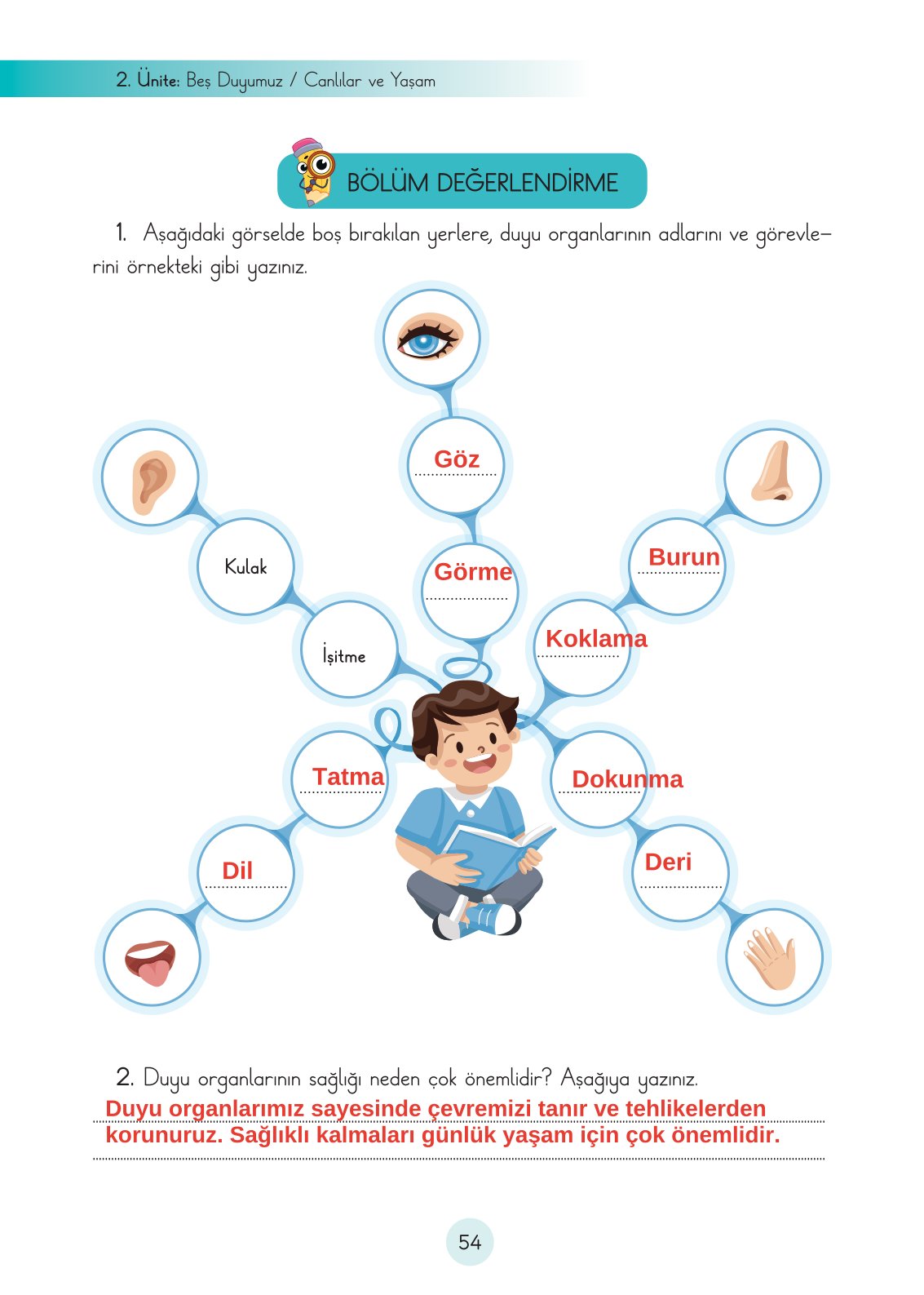 3. Sınıf Fen Bilimleri Cem Yayınları Ders Kitabı Sayfa 54 Cevapları