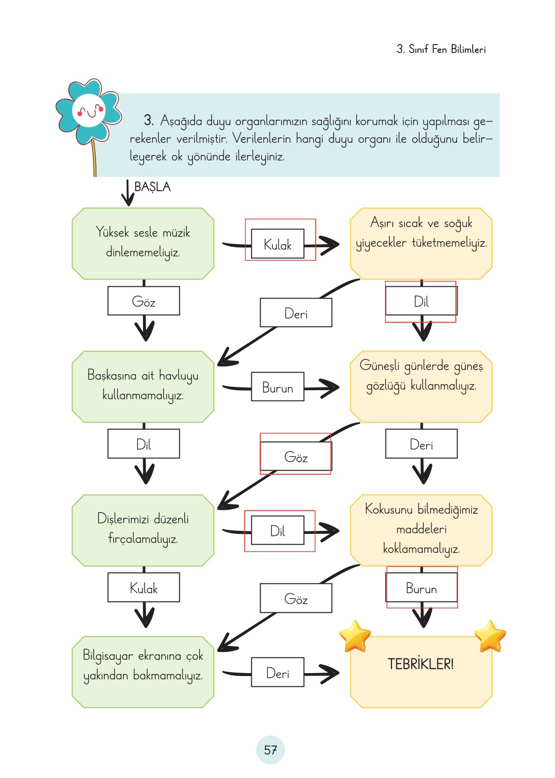 3. Sınıf Fen Bilimleri Cem Yayınları Ders Kitabı Sayfa 57 Cevapları