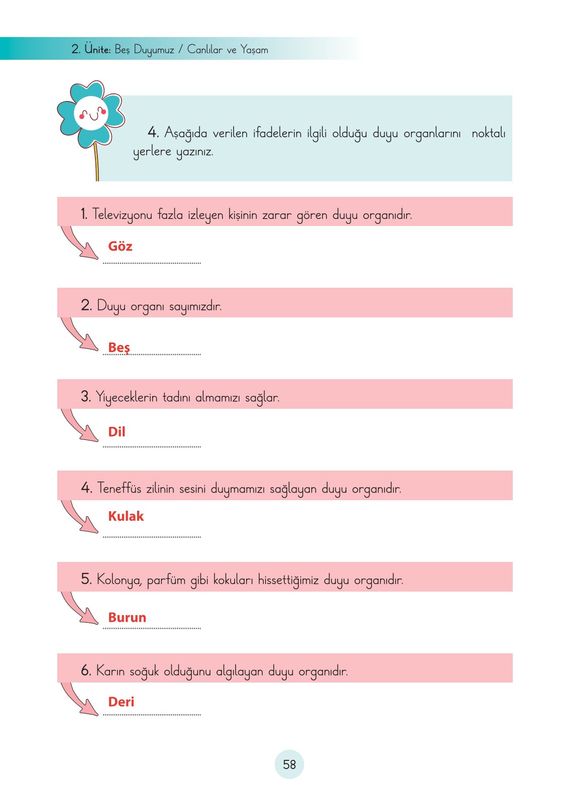 3. Sınıf Fen Bilimleri Cem Yayınları Ders Kitabı Sayfa 58 Cevapları 3. Sınıf Fen Bilimleri Cem Yayınları Ders Kitabı Sayfa 58 Cevapları