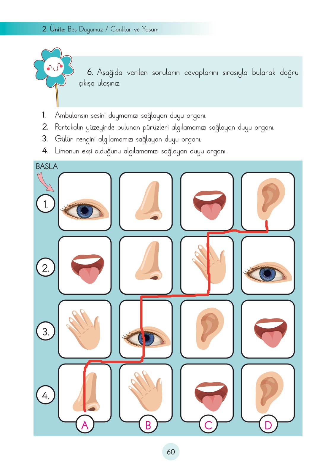 3. Sınıf Fen Bilimleri Cem Yayınları Ders Kitabı Sayfa 60 Cevapları