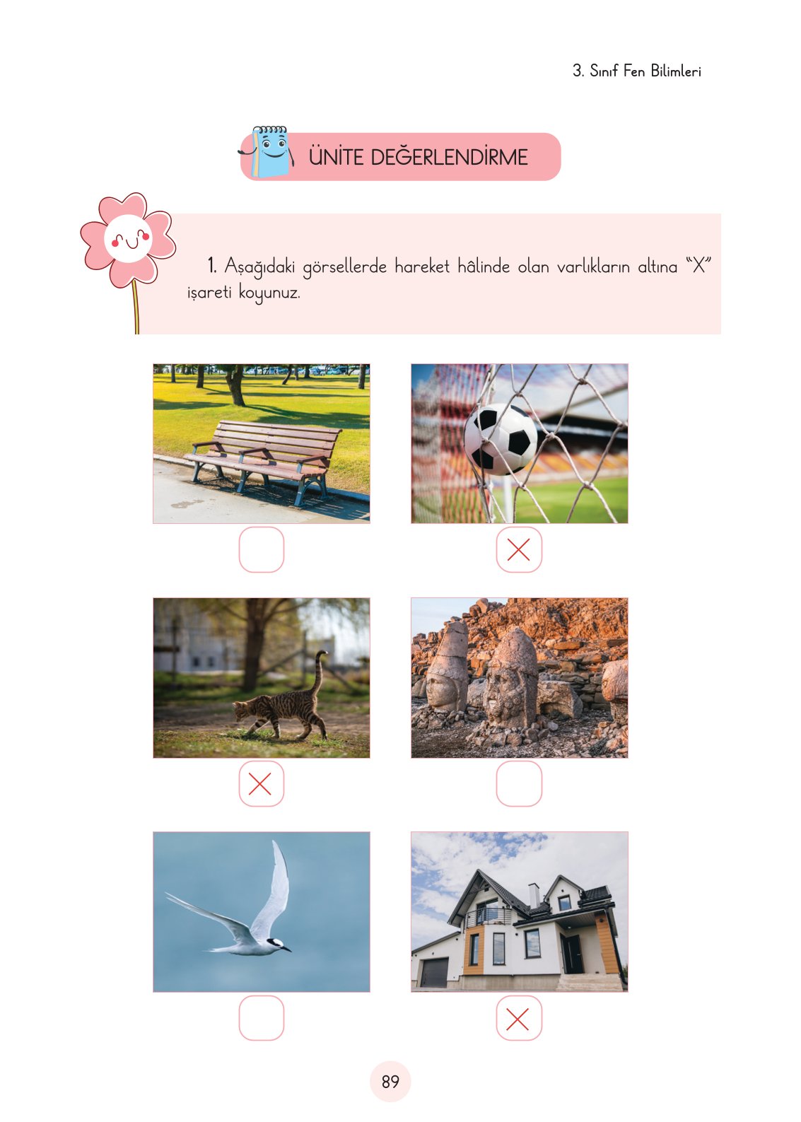 3. Sınıf Fen Bilimleri Cem Yayınları Ders Kitabı Sayfa 89 Cevapları 3. Sınıf Fen Bilimleri Cem Yayınları Ders Kitabı Sayfa 89 Cevapları
