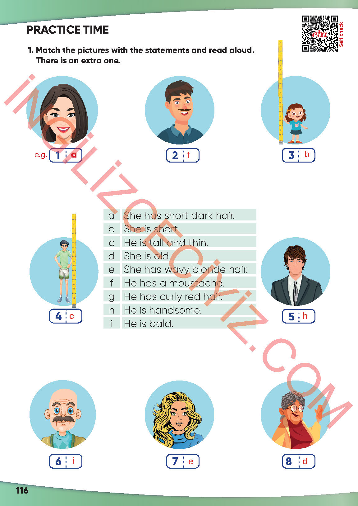 4. Sınıf İngilizce Meb Yayınları Kitabı Sayfa 116 Cevapları