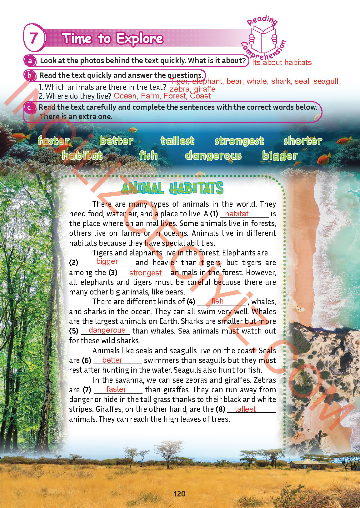 5. Sınıf İngilizce Meb Yayınları Kitabı Sayfa 120 Cevapları 5. Sınıf İngilizce Meb Yayınları Kitabı Sayfa 120 Cevapları