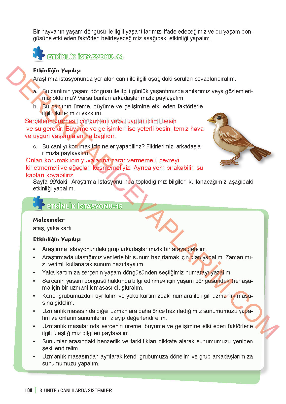 6. Sınıf Fen Bilgisi 1. Kitap Meb Yayınları Ders Kitabı Sayfa 100 Cevapları