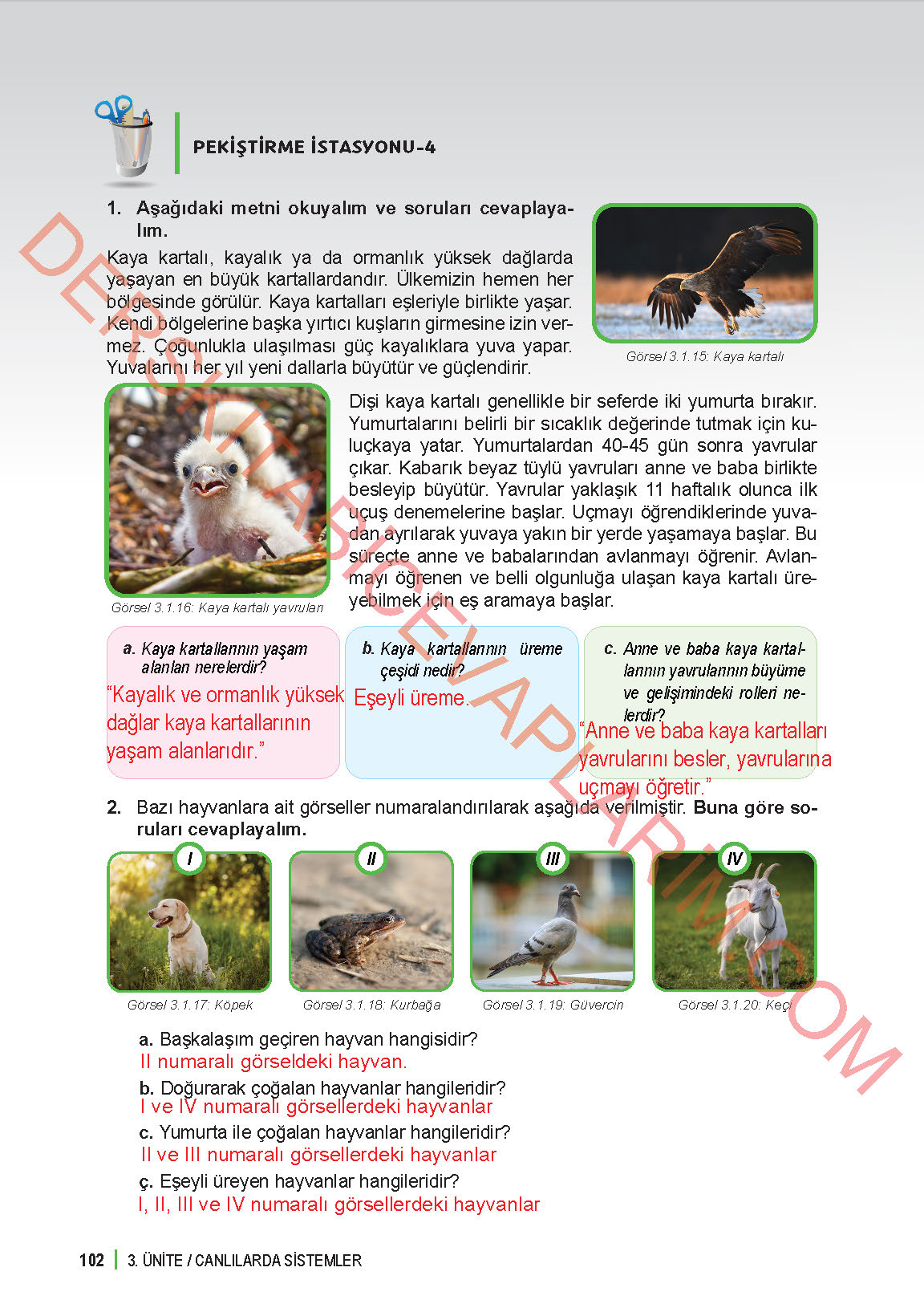 6. Sınıf Fen Bilgisi 1. Kitap Meb Yayınları Ders Kitabı Sayfa 102 Cevapları 6. Sınıf Fen Bilgisi 1. Kitap Meb Yayınları Ders Kitabı Sayfa 102 Cevapları