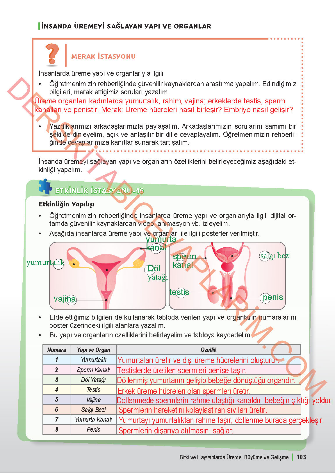 6. Sınıf Fen Bilgisi 1. Kitap Meb Yayınları Ders Kitabı Sayfa 103 Cevapları 6. Sınıf Fen Bilgisi 1. Kitap Meb Yayınları Ders Kitabı Sayfa 103 Cevapları