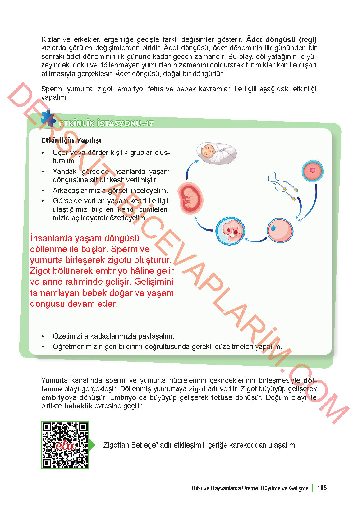 6. Sınıf Fen Bilgisi 1. Kitap Meb Yayınları Ders Kitabı Sayfa 105 Cevapları