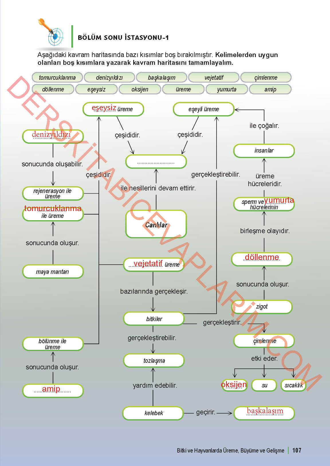 6. Sınıf Fen Bilgisi 1. Kitap Meb Yayınları Ders Kitabı Sayfa 107 Cevapları 6. Sınıf Fen Bilgisi 1. Kitap Meb Yayınları Ders Kitabı Sayfa 107 Cevapları