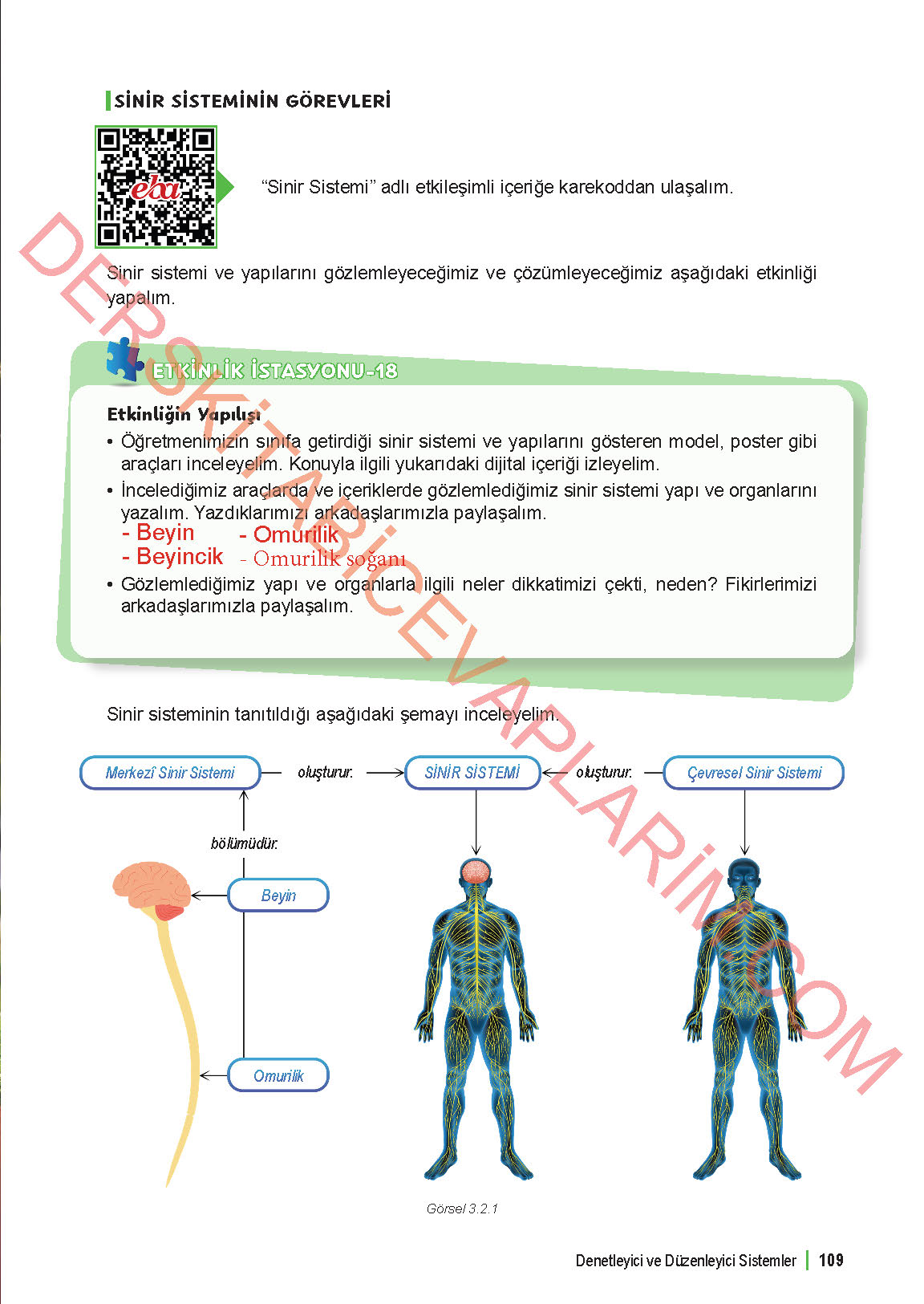 6. Sınıf Fen Bilgisi 1. Kitap Meb Yayınları Ders Kitabı Sayfa 109 Cevapları