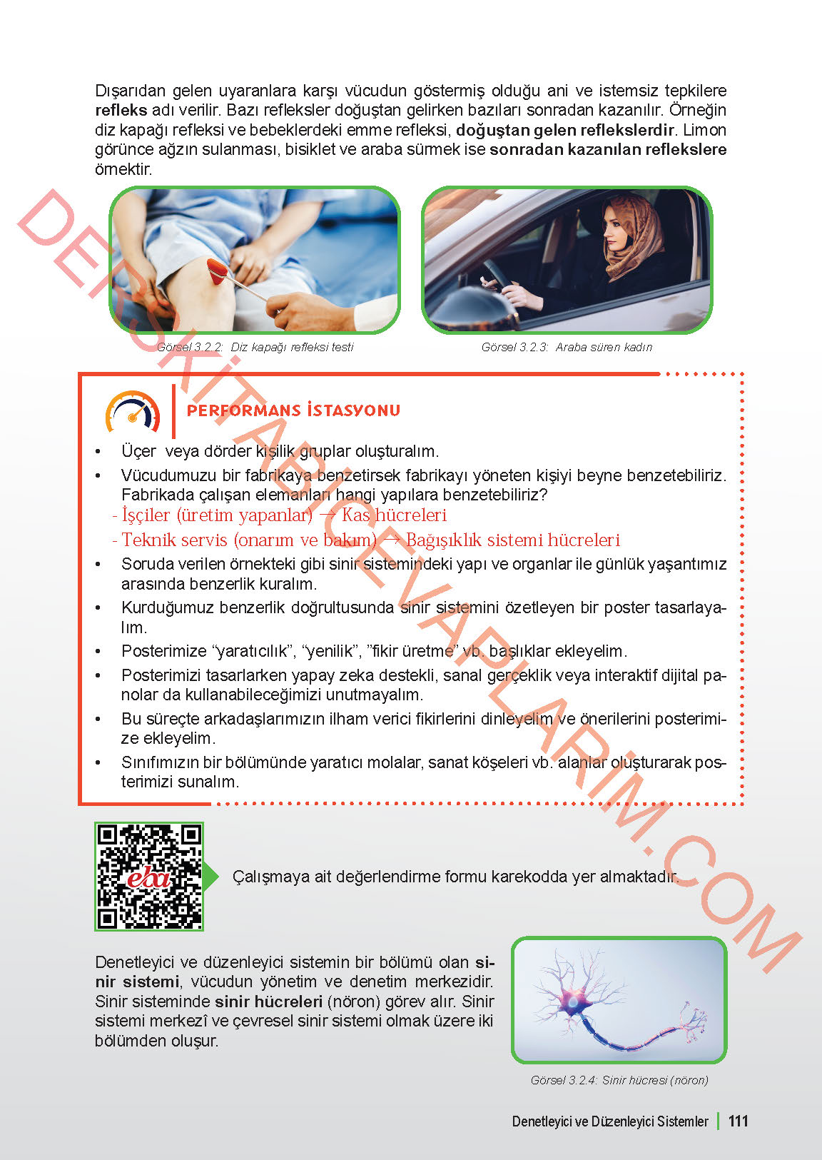 6. Sınıf Fen Bilgisi 1. Kitap Meb Yayınları Ders Kitabı Sayfa 111 Cevapları