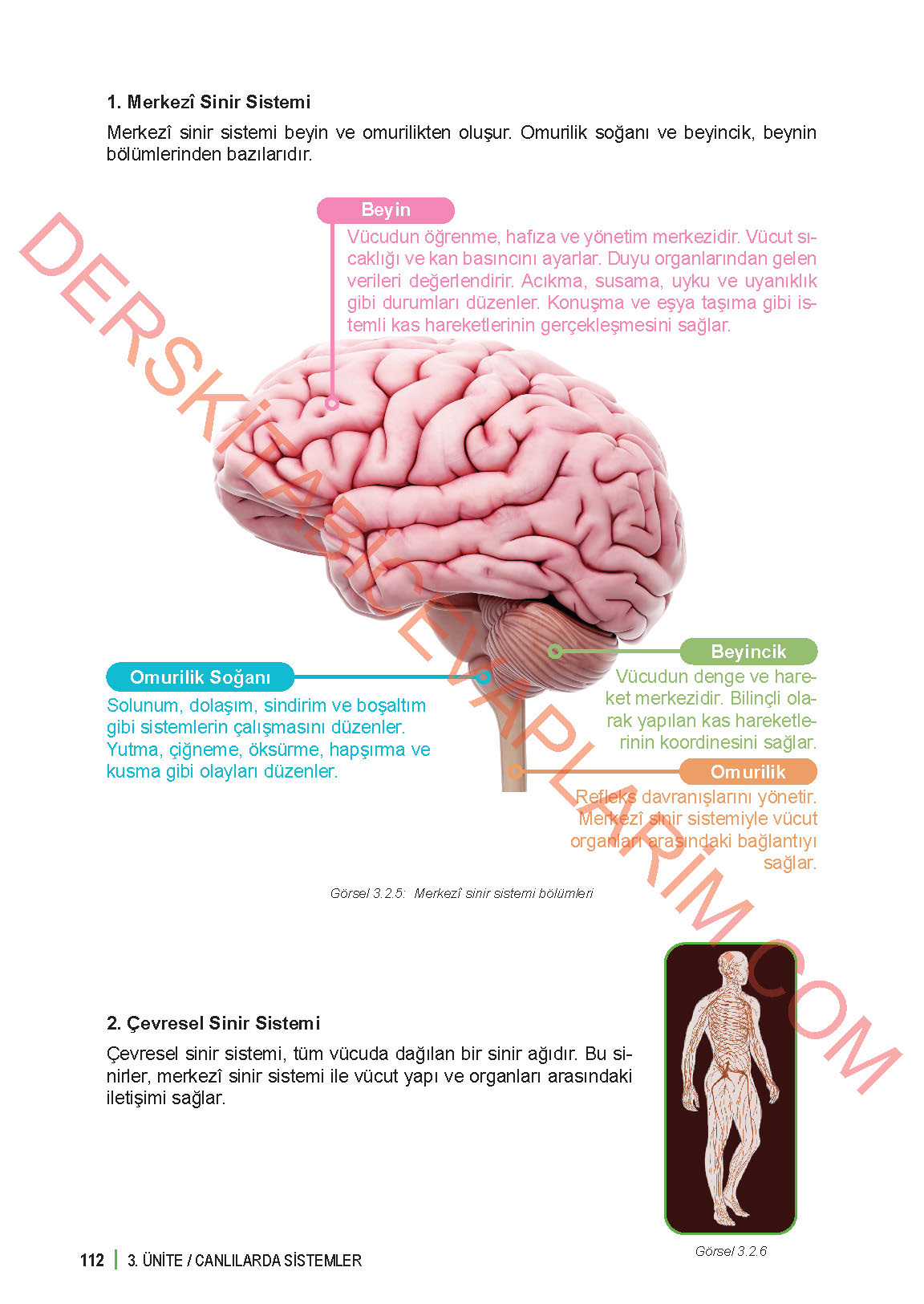 6. Sınıf Fen Bilgisi 1. Kitap Meb Yayınları Ders Kitabı Sayfa 112 Cevapları