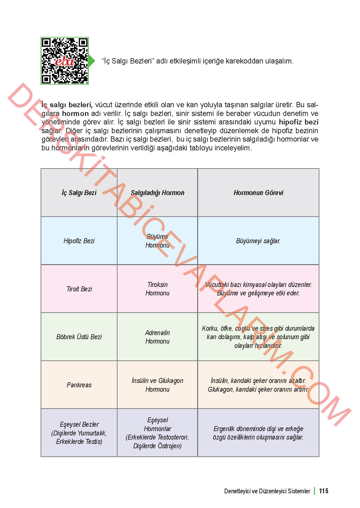 6. Sınıf Fen Bilgisi 1. Kitap Meb Yayınları Ders Kitabı Sayfa 115 Cevapları