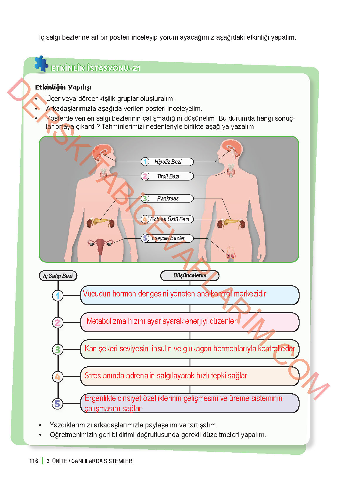 6. Sınıf Fen Bilgisi 1. Kitap Meb Yayınları Ders Kitabı Sayfa 116 Cevapları