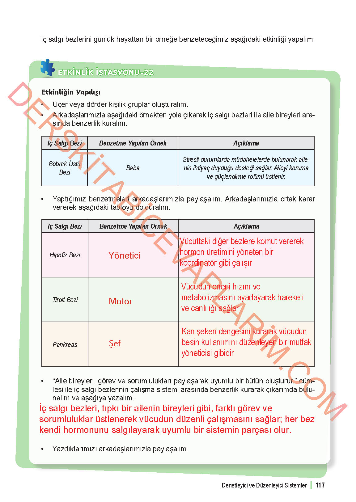 6. Sınıf Fen Bilgisi 1. Kitap Meb Yayınları Ders Kitabı Sayfa 117 Cevapları