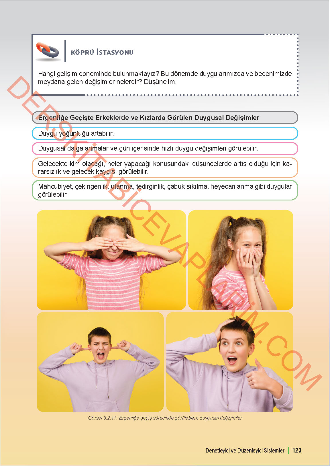 6. Sınıf Fen Bilgisi 1. Kitap Meb Yayınları Ders Kitabı Sayfa 123 Cevapları 6. Sınıf Fen Bilgisi 1. Kitap Meb Yayınları Ders Kitabı Sayfa 123 Cevapları
