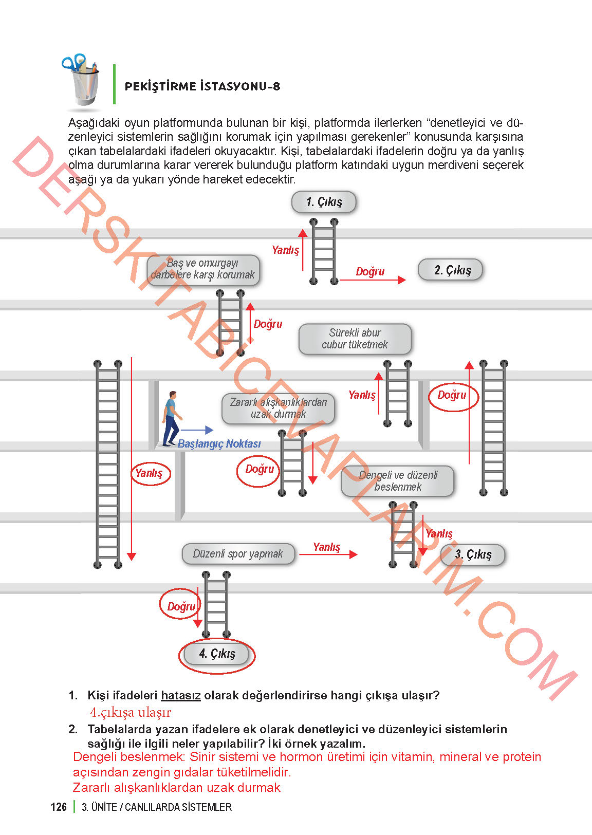 6. Sınıf Fen Bilgisi 1. Kitap Meb Yayınları Ders Kitabı Sayfa 126 Cevapları