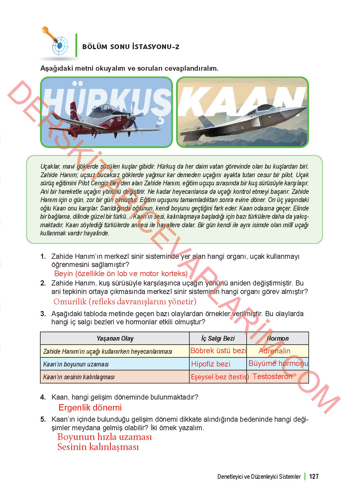 6. Sınıf Fen Bilgisi 1. Kitap Meb Yayınları Ders Kitabı Sayfa 127 Cevapları