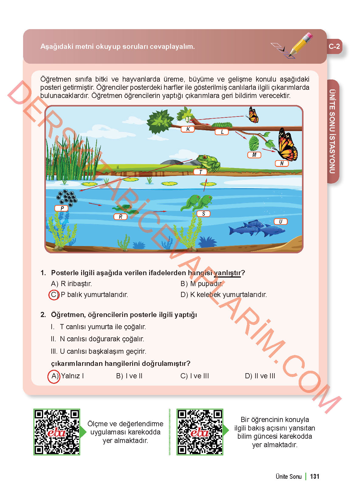 6. Sınıf Fen Bilgisi 1. Kitap Meb Yayınları Ders Kitabı Sayfa 131 Cevapları 6. Sınıf Fen Bilgisi 1. Kitap Meb Yayınları Ders Kitabı Sayfa 131 Cevapları