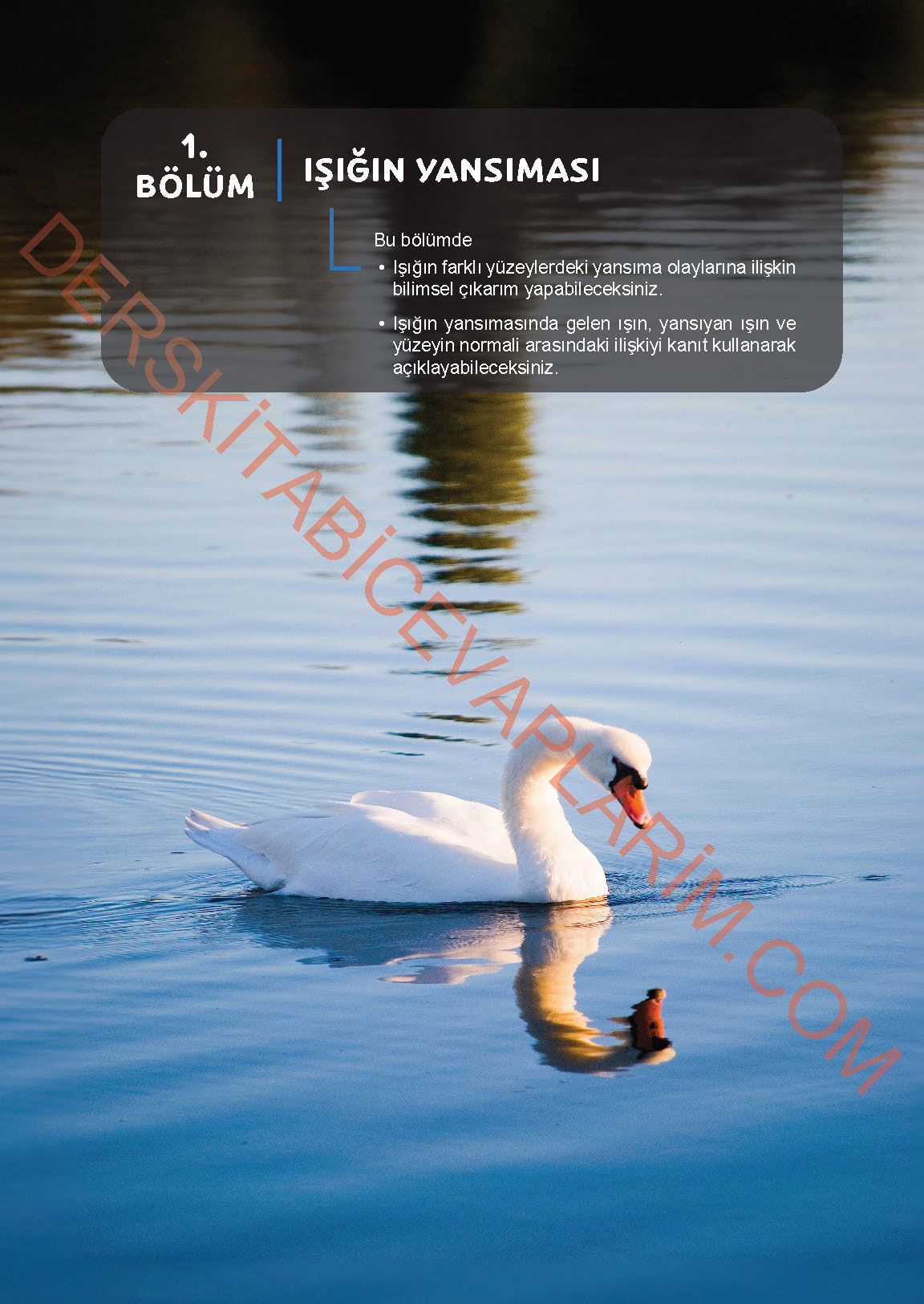 6. Sınıf Fen Bilgisi 1. Kitap Meb Yayınları Ders Kitabı Sayfa 135 Cevapları