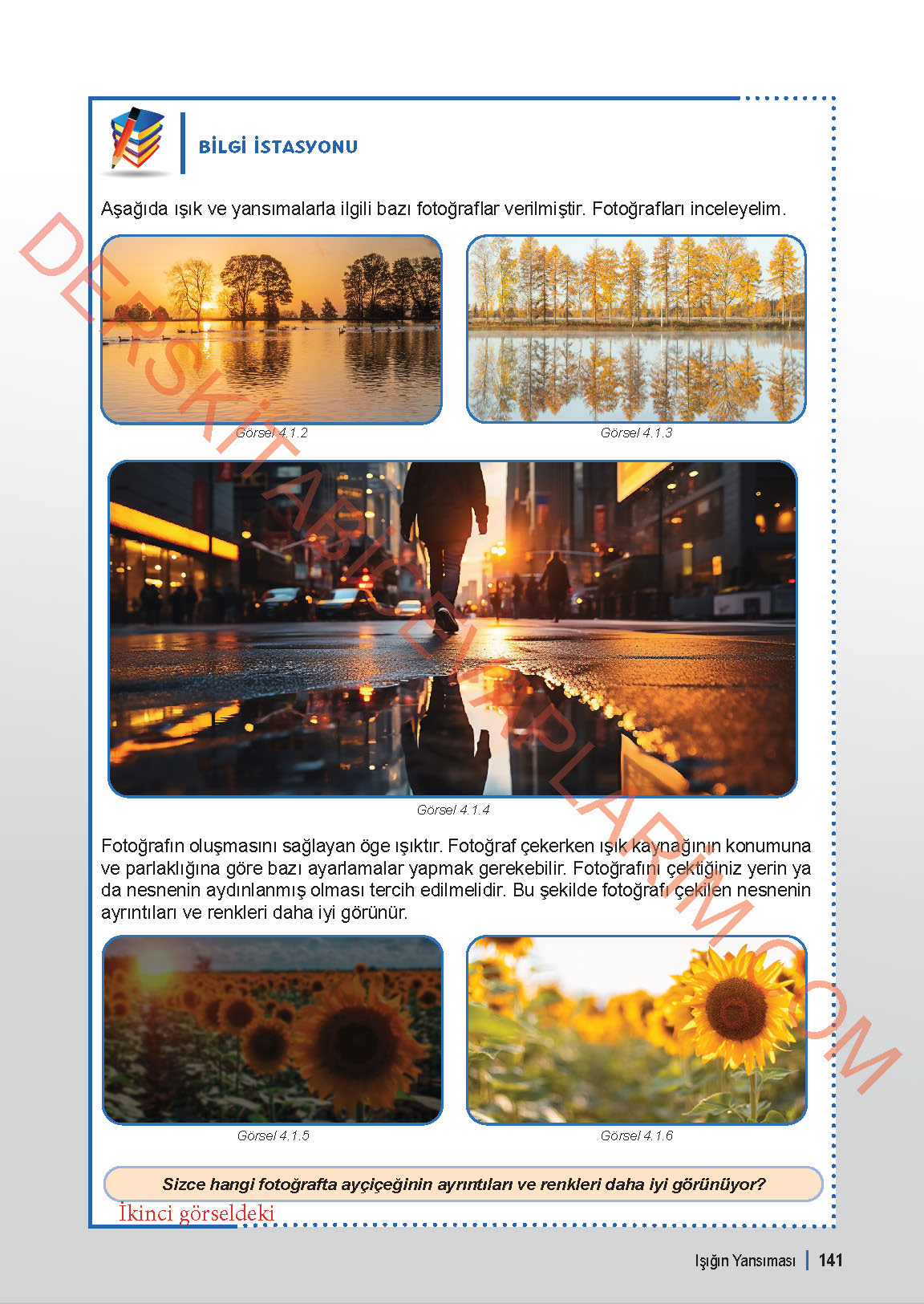 6. Sınıf Fen Bilgisi 1. Kitap Meb Yayınları Ders Kitabı Sayfa 141 Cevapları