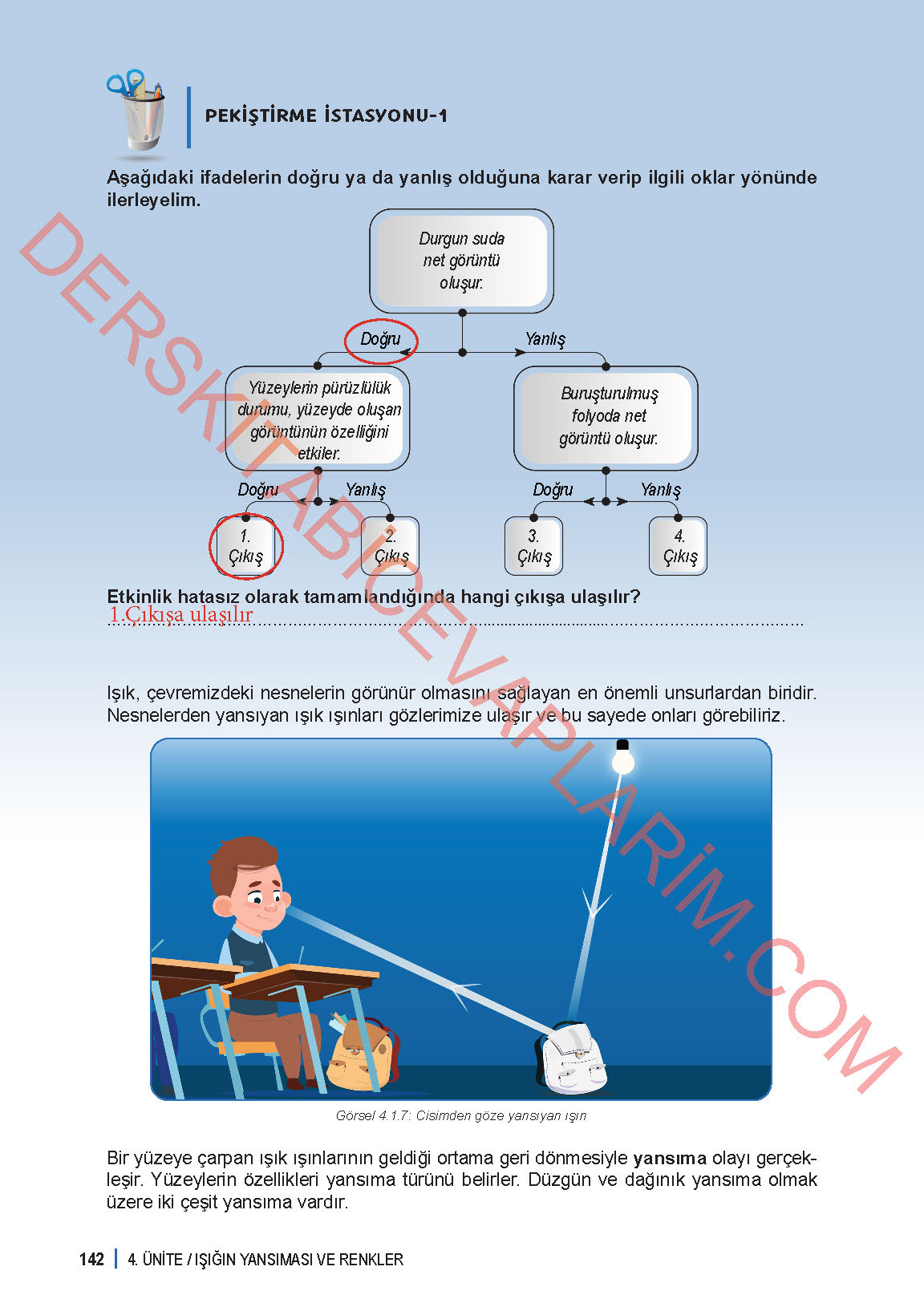 6. Sınıf Fen Bilgisi 1. Kitap Meb Yayınları Ders Kitabı Sayfa 142 Cevapları