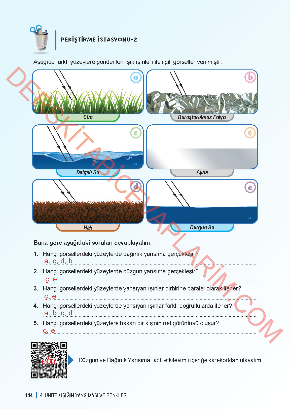 6. Sınıf Fen Bilgisi 1. Kitap Meb Yayınları Ders Kitabı Sayfa 144 Cevapları