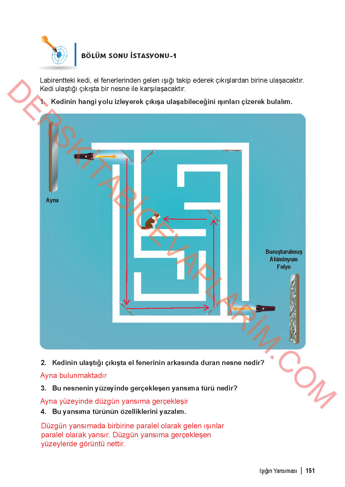 6. Sınıf Fen Bilgisi 1. Kitap Meb Yayınları Ders Kitabı Sayfa 151 Cevapları 6. Sınıf Fen Bilgisi 1. Kitap Meb Yayınları Ders Kitabı Sayfa 151 Cevapları