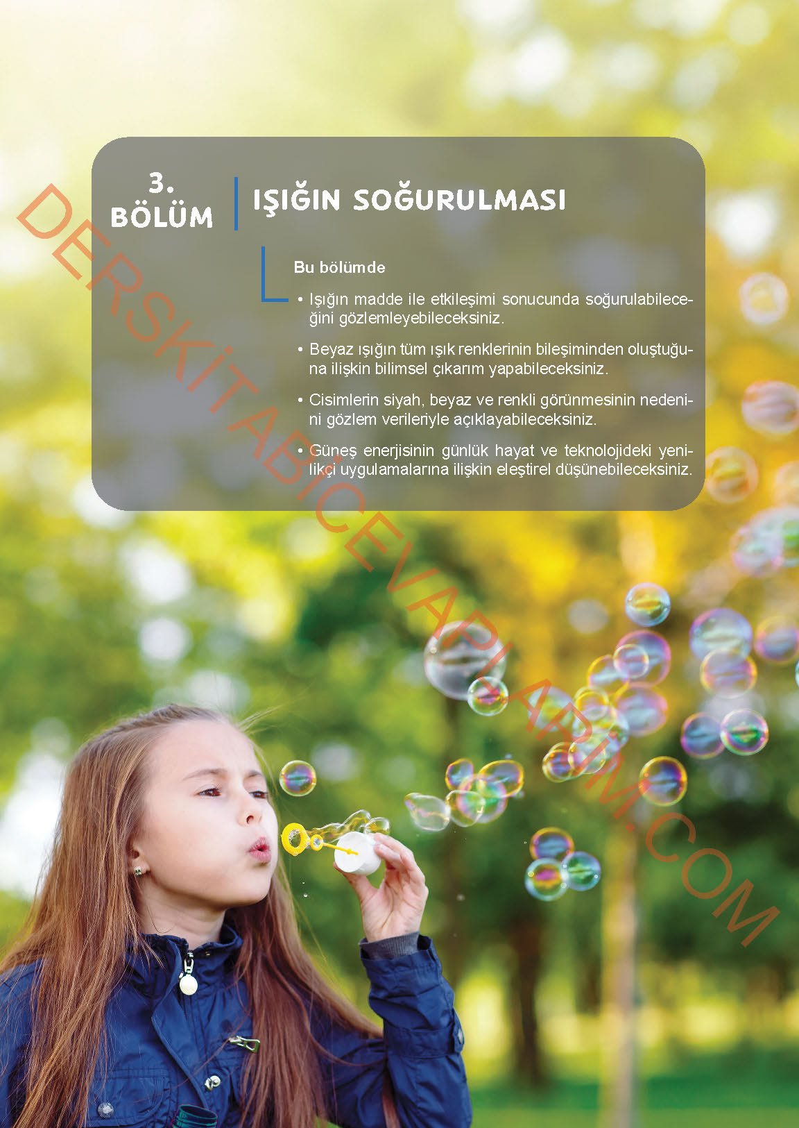 6. Sınıf Fen Bilgisi 1. Kitap Meb Yayınları Ders Kitabı Sayfa 162 Cevapları