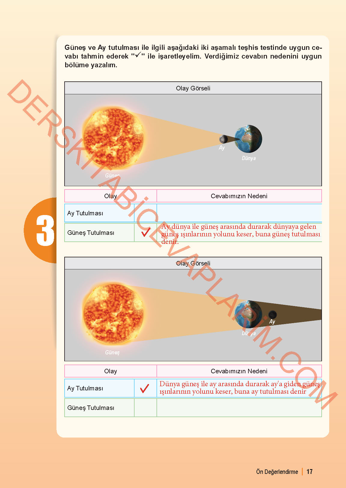 6. Sınıf Fen Bilgisi 1. Kitap Meb Yayınları Ders Kitabı Sayfa 17 Cevapları