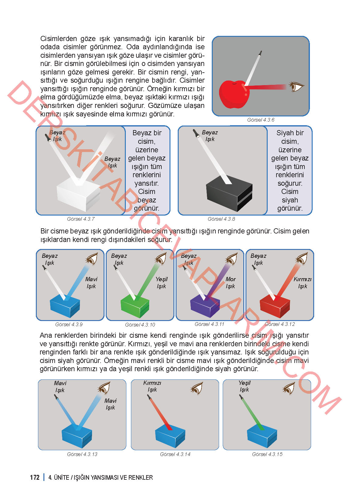 6. Sınıf Fen Bilgisi 1. Kitap Meb Yayınları Ders Kitabı Sayfa 172 Cevapları