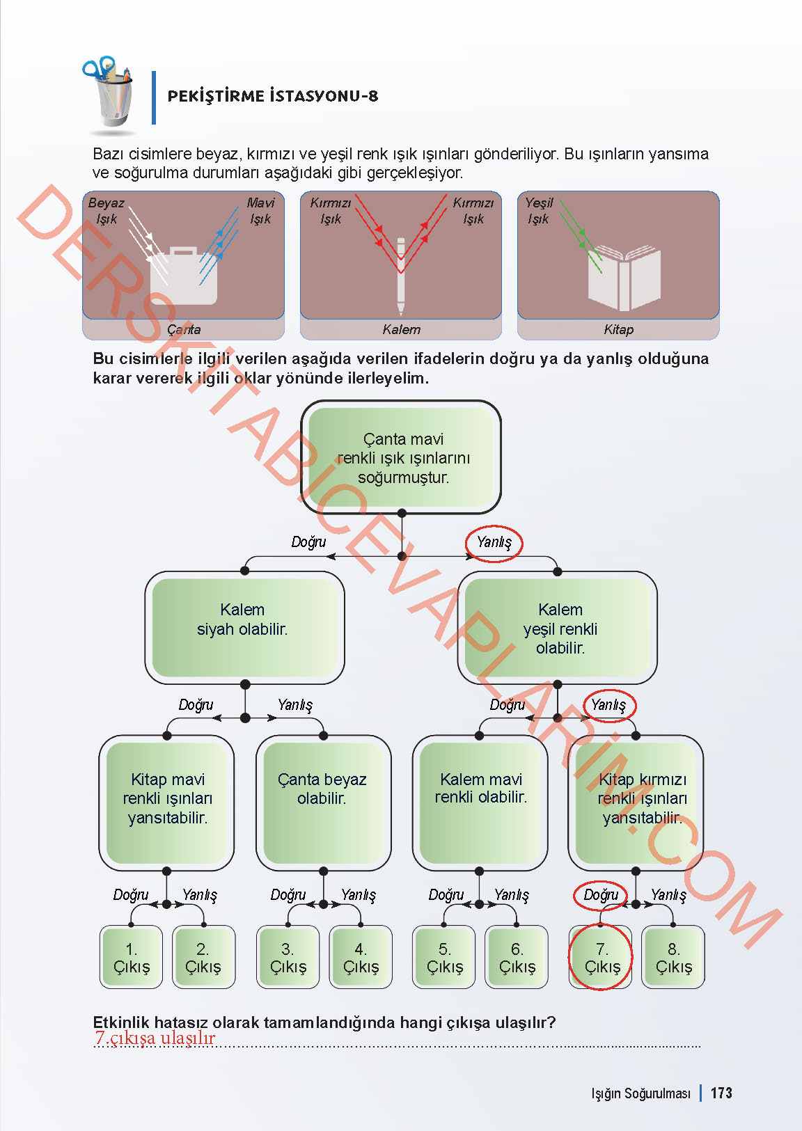 6. Sınıf Fen Bilgisi 1. Kitap Meb Yayınları Ders Kitabı Sayfa 173 Cevapları