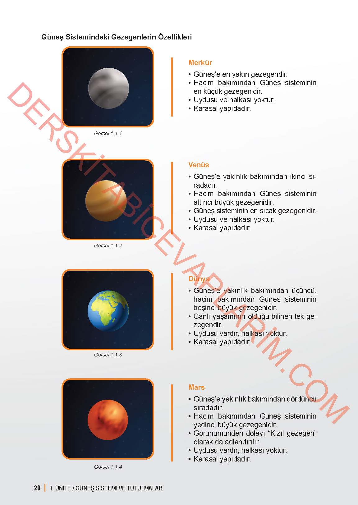 6. Sınıf Fen Bilgisi 1. Kitap Meb Yayınları Ders Kitabı Sayfa 20 Cevapları