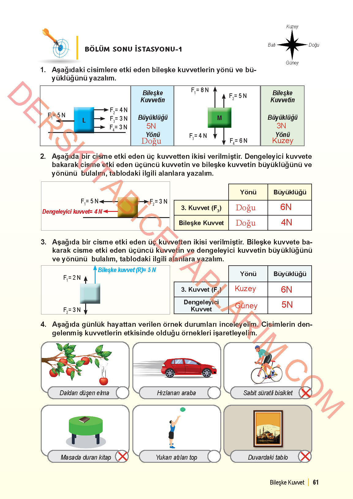 6. Sınıf Fen Bilgisi 1. Kitap Meb Yayınları Ders Kitabı Sayfa 61 Cevapları