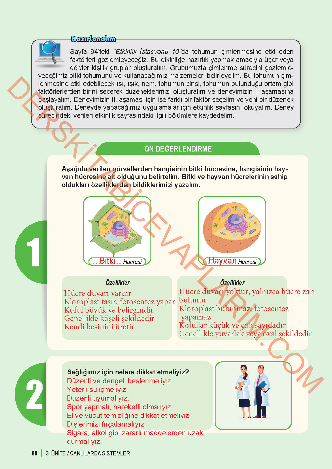 6. Sınıf Fen Bilgisi 1. Kitap Meb Yayınları Ders Kitabı Sayfa 80 Cevapları