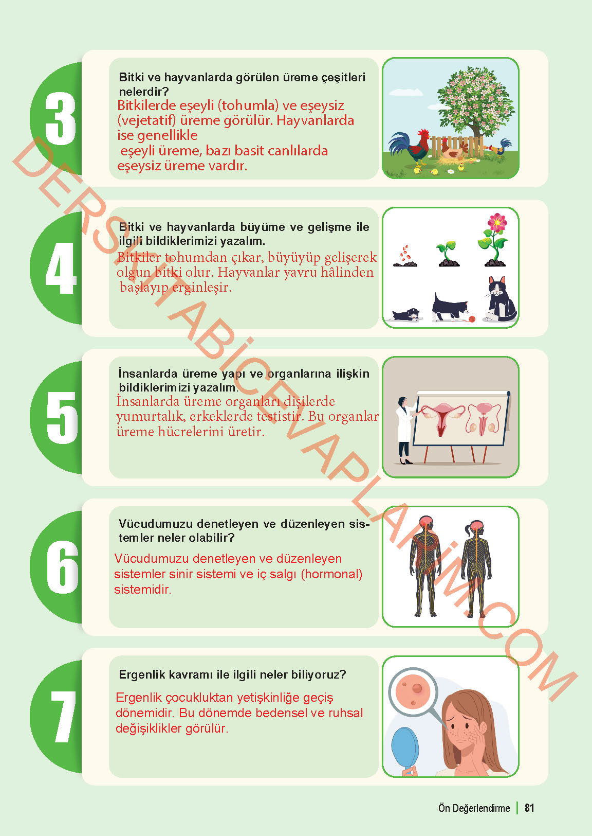 6. Sınıf Fen Bilgisi 1. Kitap Meb Yayınları Ders Kitabı Sayfa 81 Cevapları