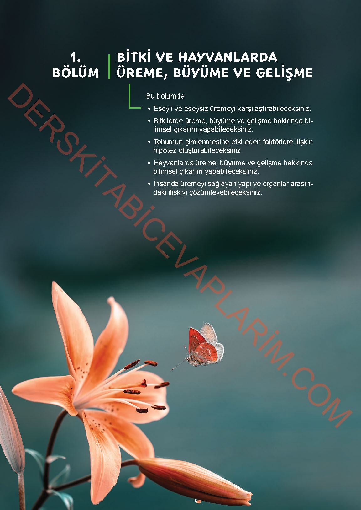 6. Sınıf Fen Bilgisi 1. Kitap Meb Yayınları Ders Kitabı Sayfa 82 Cevapları 6. Sınıf Fen Bilgisi 1. Kitap Meb Yayınları Ders Kitabı Sayfa 82 Cevapları