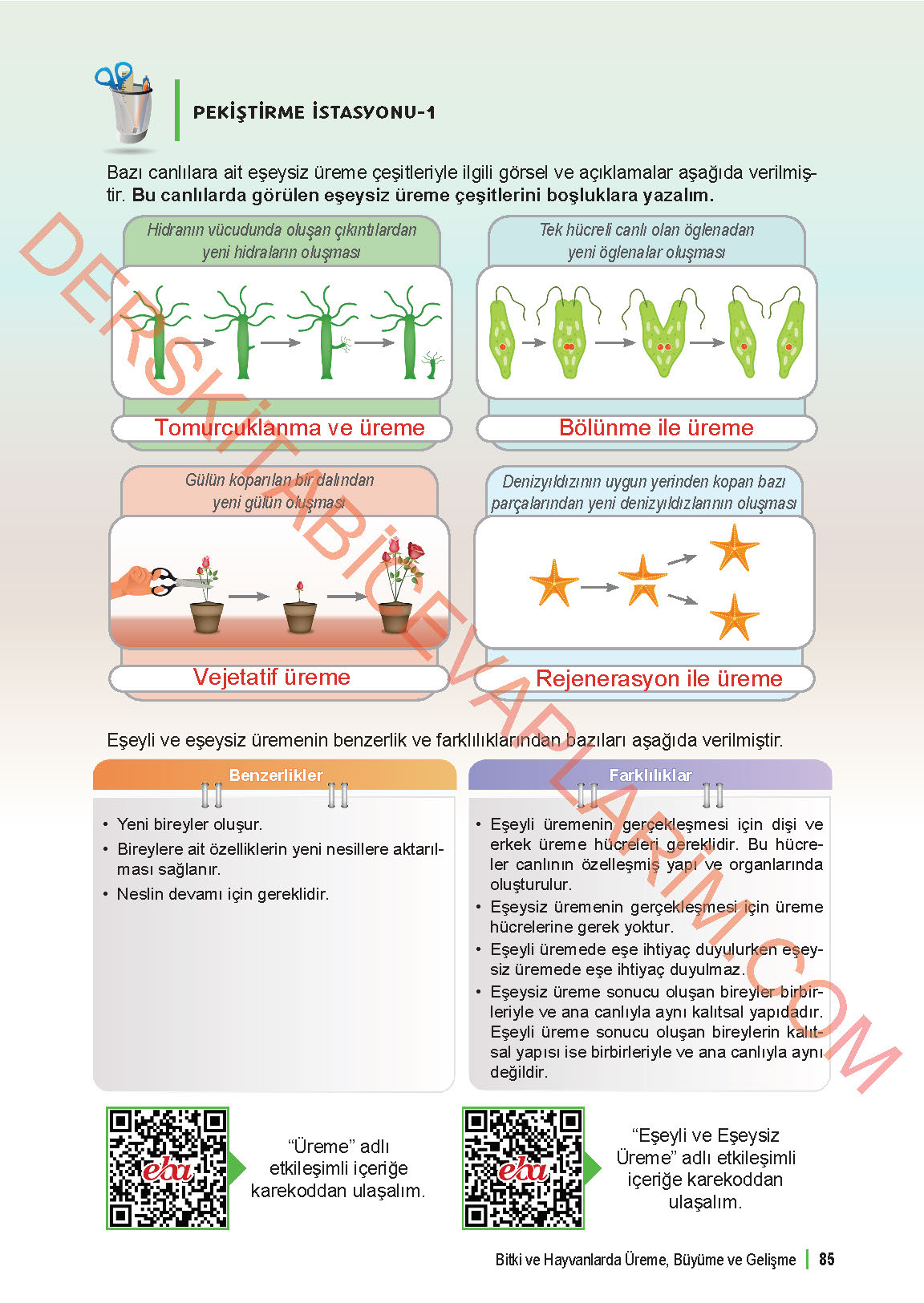 6. Sınıf Fen Bilgisi 1. Kitap Meb Yayınları Ders Kitabı Sayfa 85 Cevapları 6. Sınıf Fen Bilgisi 1. Kitap Meb Yayınları Ders Kitabı Sayfa 85 Cevapları