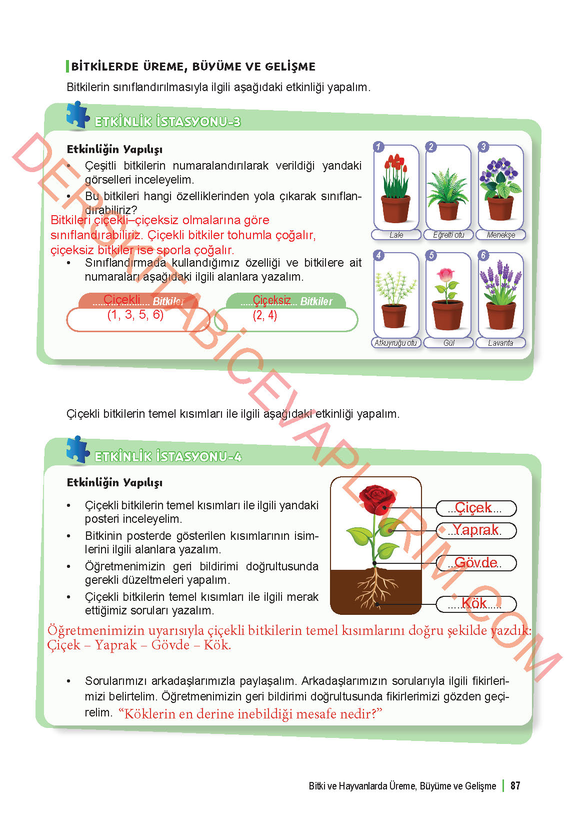 6. Sınıf Fen Bilgisi 1. Kitap Meb Yayınları Ders Kitabı Sayfa 87 Cevapları