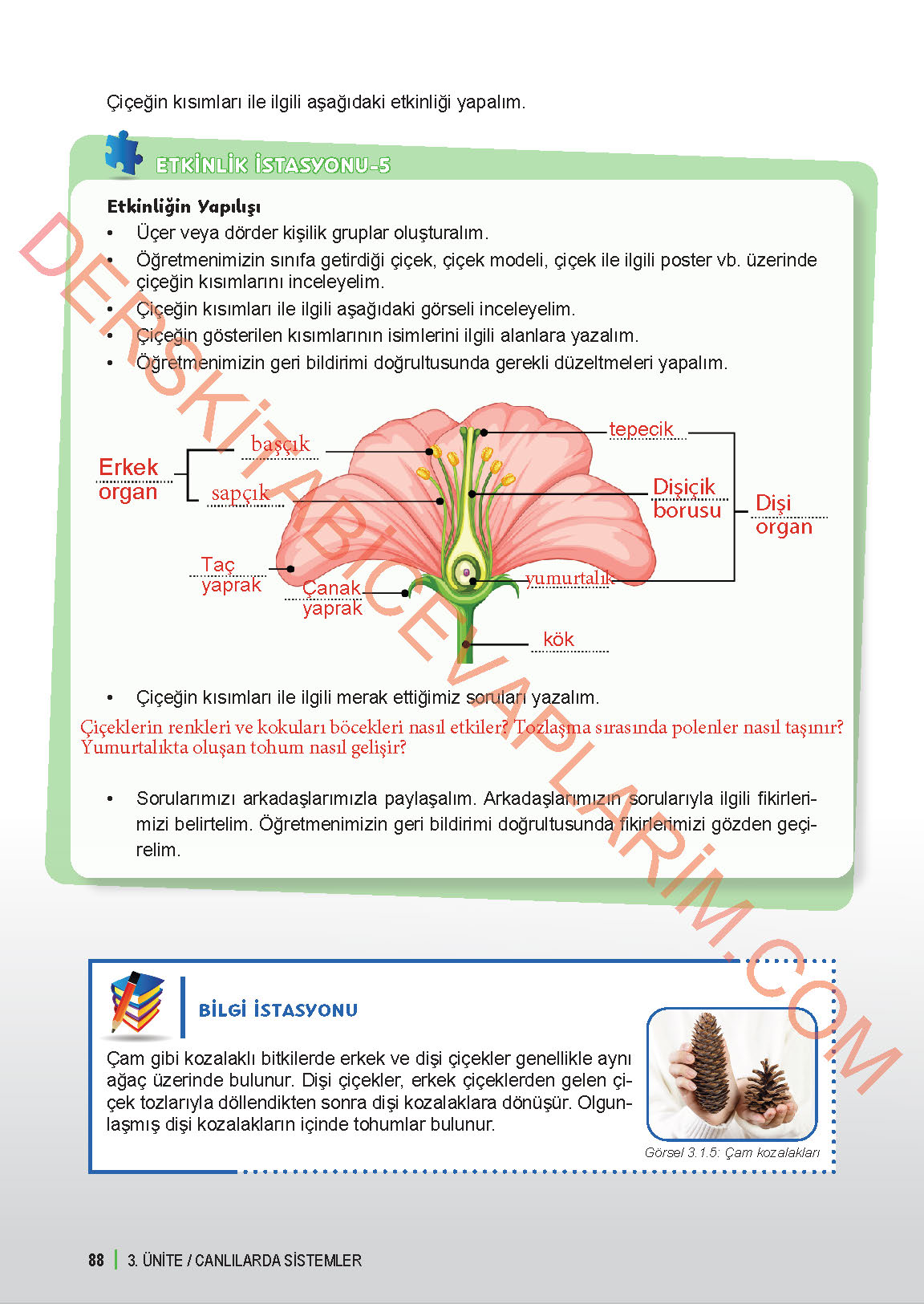 6. Sınıf Fen Bilgisi 1. Kitap Meb Yayınları Ders Kitabı Sayfa 88 Cevapları 6. Sınıf Fen Bilgisi 1. Kitap Meb Yayınları Ders Kitabı Sayfa 88 Cevapları