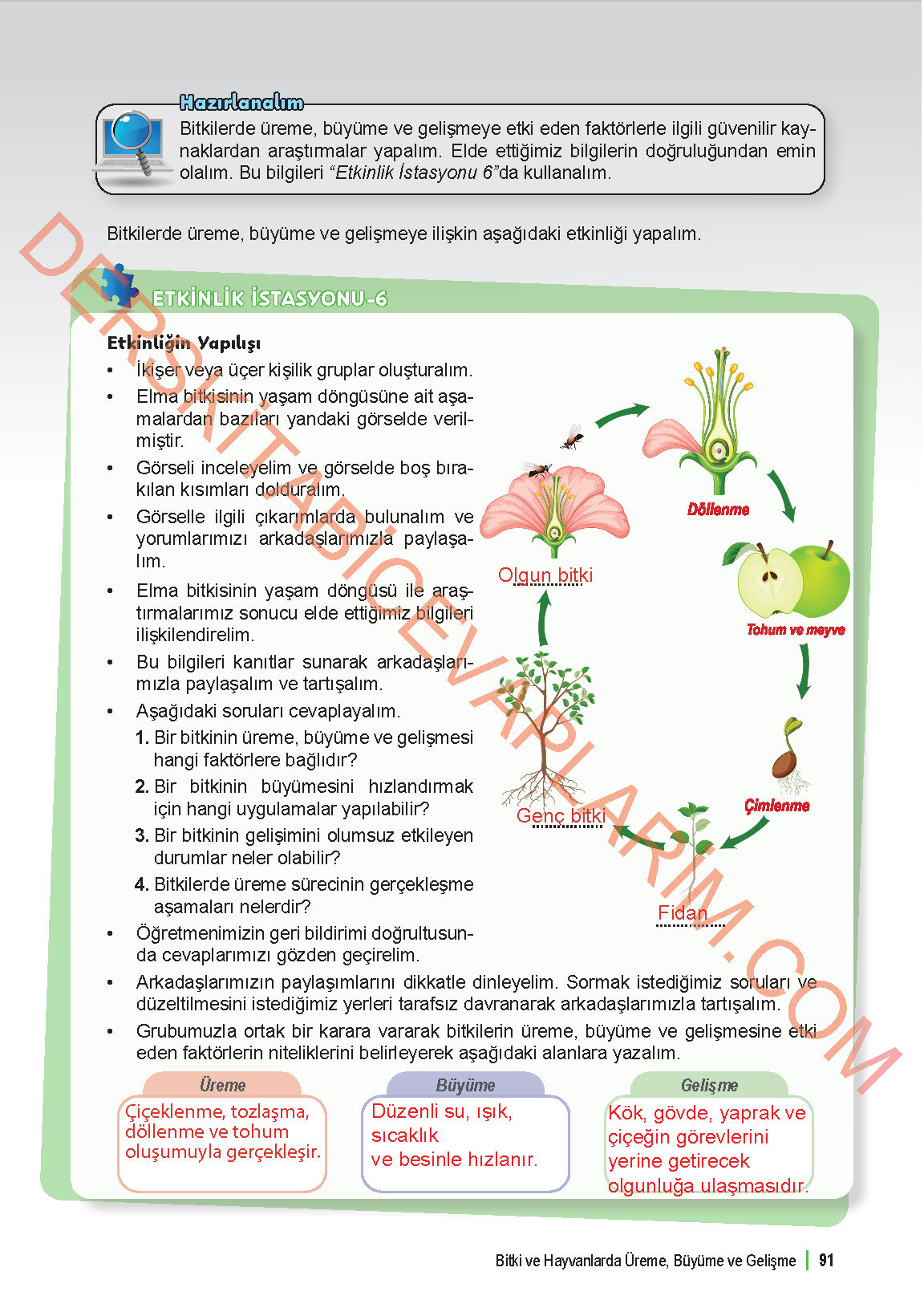 6. Sınıf Fen Bilgisi 1. Kitap Meb Yayınları Ders Kitabı Sayfa 91 Cevapları 6. Sınıf Fen Bilgisi 1. Kitap Meb Yayınları Ders Kitabı Sayfa 91 Cevapları