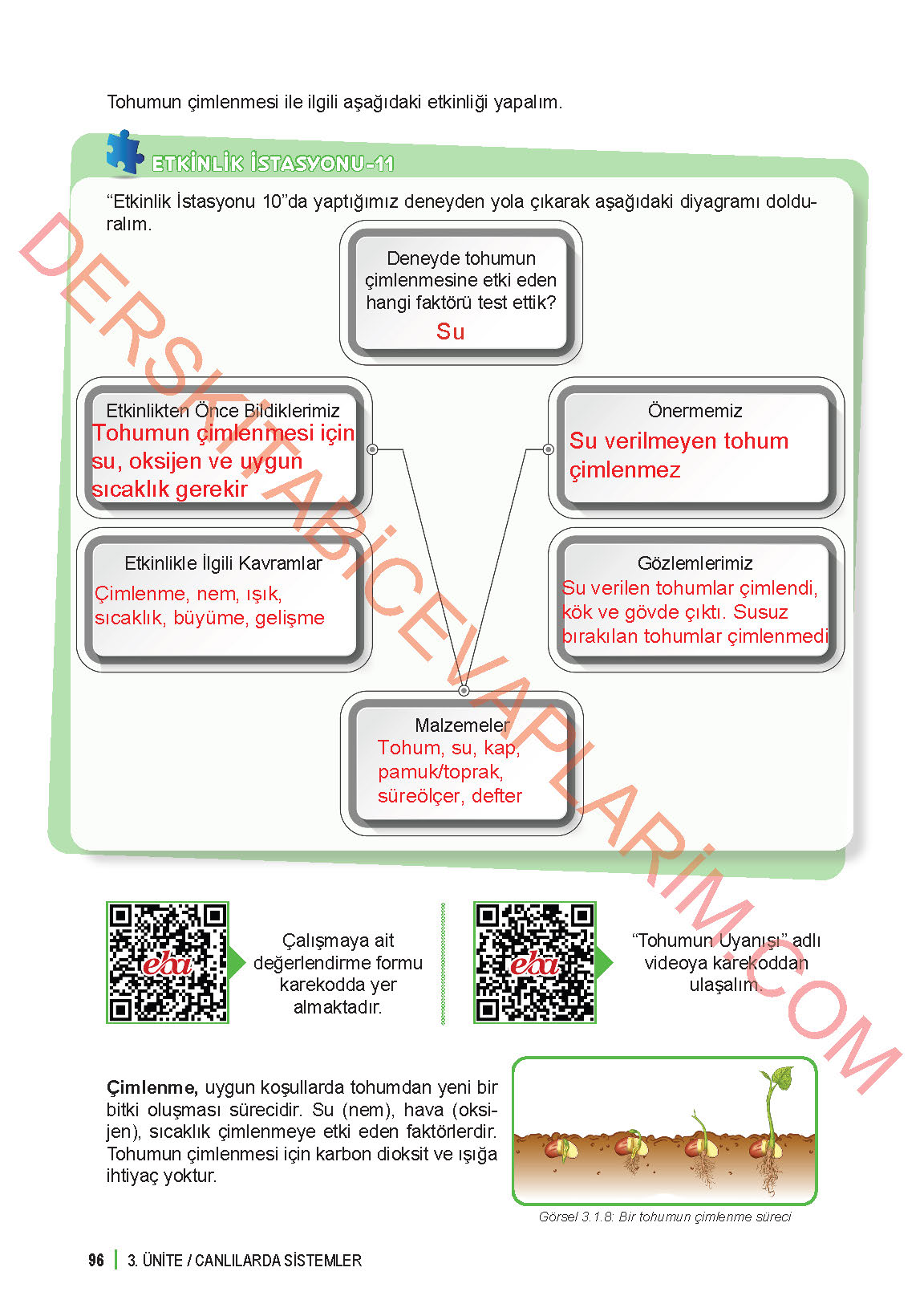 6. Sınıf Fen Bilgisi 1. Kitap Meb Yayınları Ders Kitabı Sayfa 96 Cevapları 6. Sınıf Fen Bilgisi 1. Kitap Meb Yayınları Ders Kitabı Sayfa 96 Cevapları