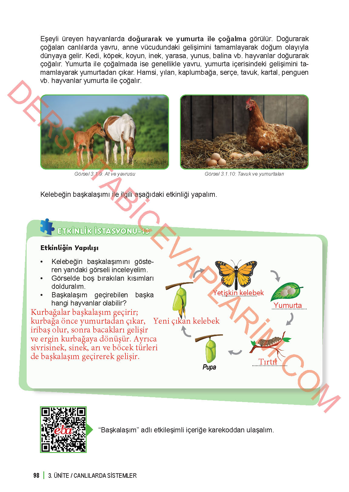 6. Sınıf Fen Bilgisi 1. Kitap Meb Yayınları Ders Kitabı Sayfa 98 Cevapları 6. Sınıf Fen Bilgisi 1. Kitap Meb Yayınları Ders Kitabı Sayfa 98 Cevapları