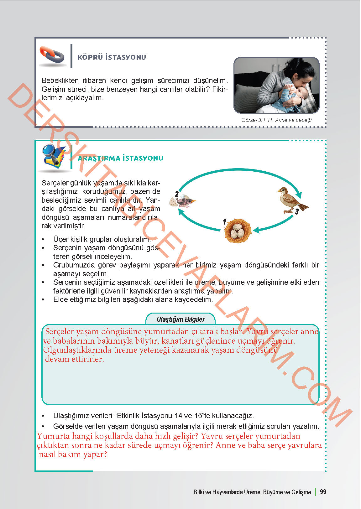 6. Sınıf Fen Bilgisi 1. Kitap Meb Yayınları Ders Kitabı Sayfa 99 Cevapları
