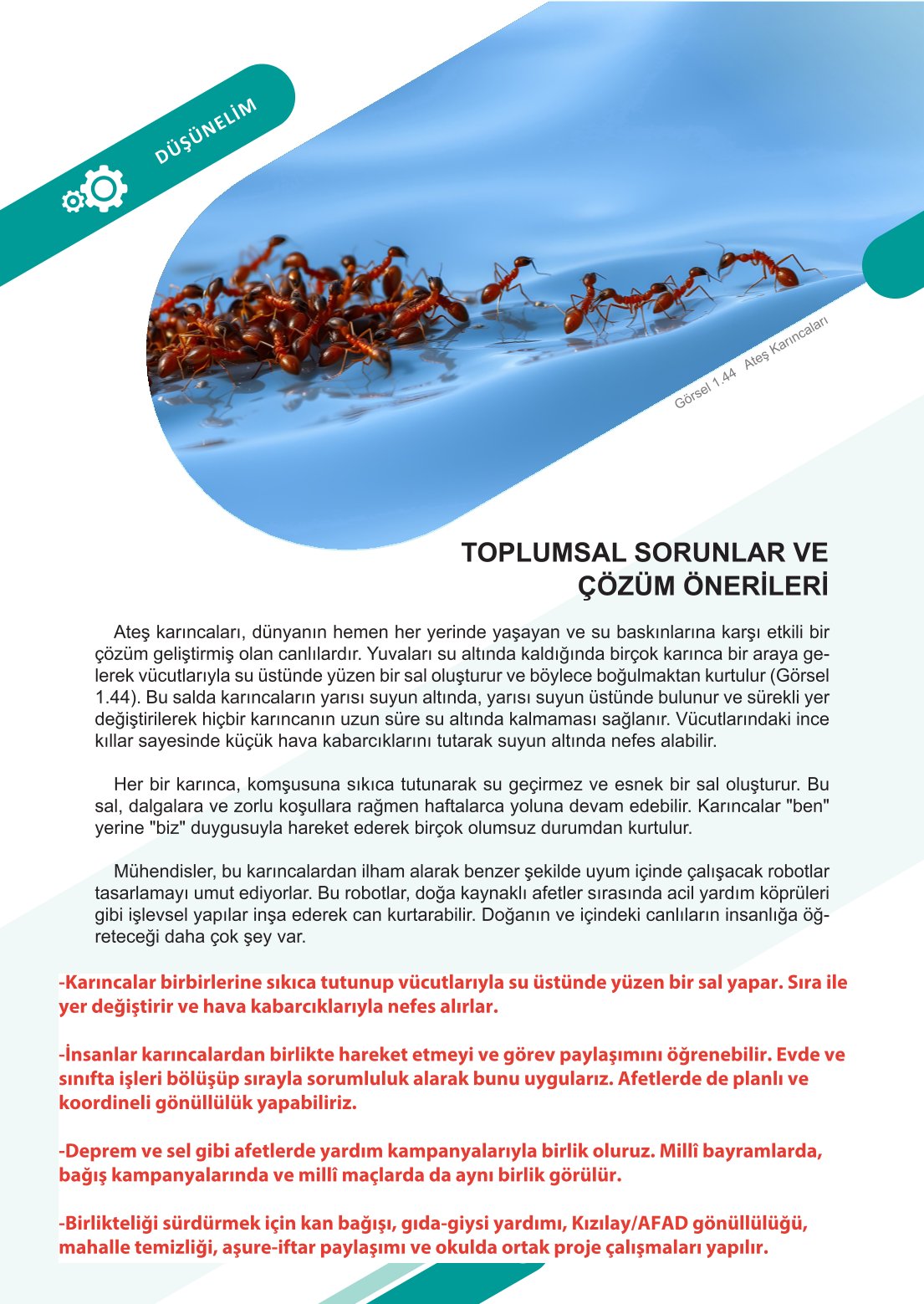 6. Sınıf Meb Yayınları Sosyal Bilgiler Ders Kitabı Sayfa 38 Cevapları 6. Sınıf Meb Yayınları Sosyal Bilgiler Ders Kitabı Sayfa 38 Cevapları