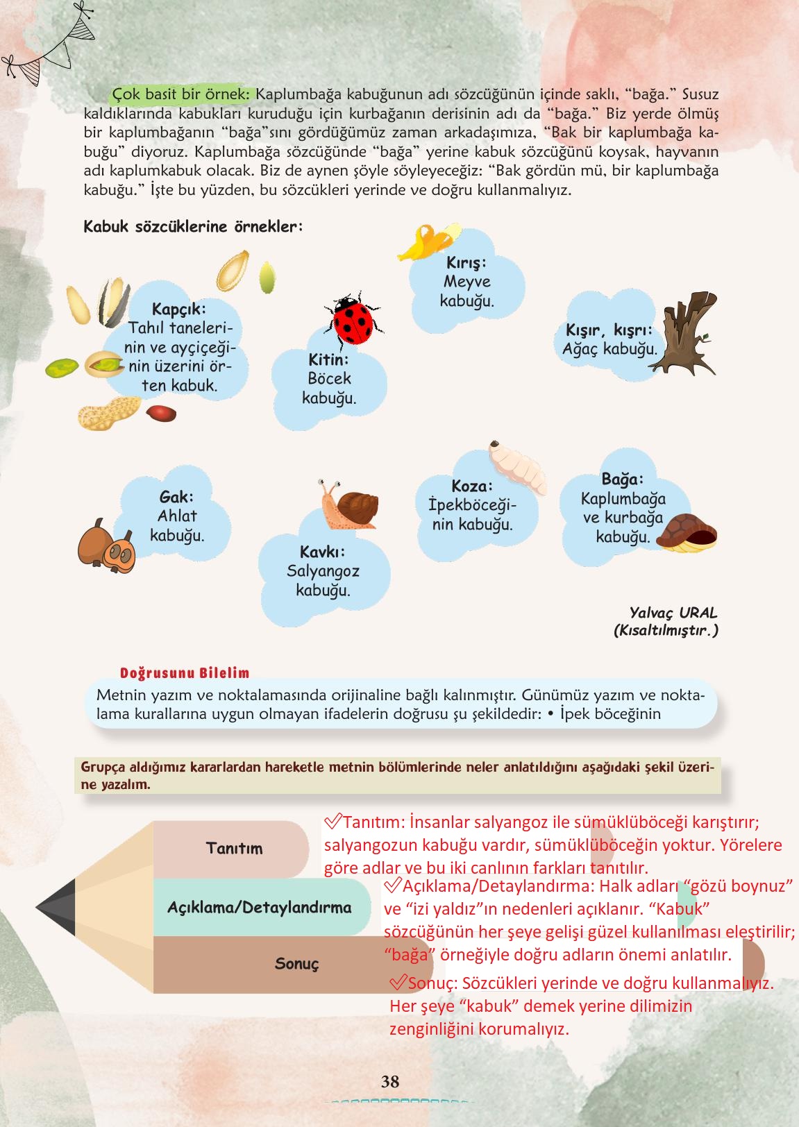 6. Sınıf Türkçe 1. Kitap Meb Yayınları Ders Kitabı Sayfa 39 Cevapları